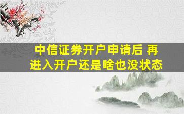 中信证券开户申请后 再进入开户还是啥也没状态